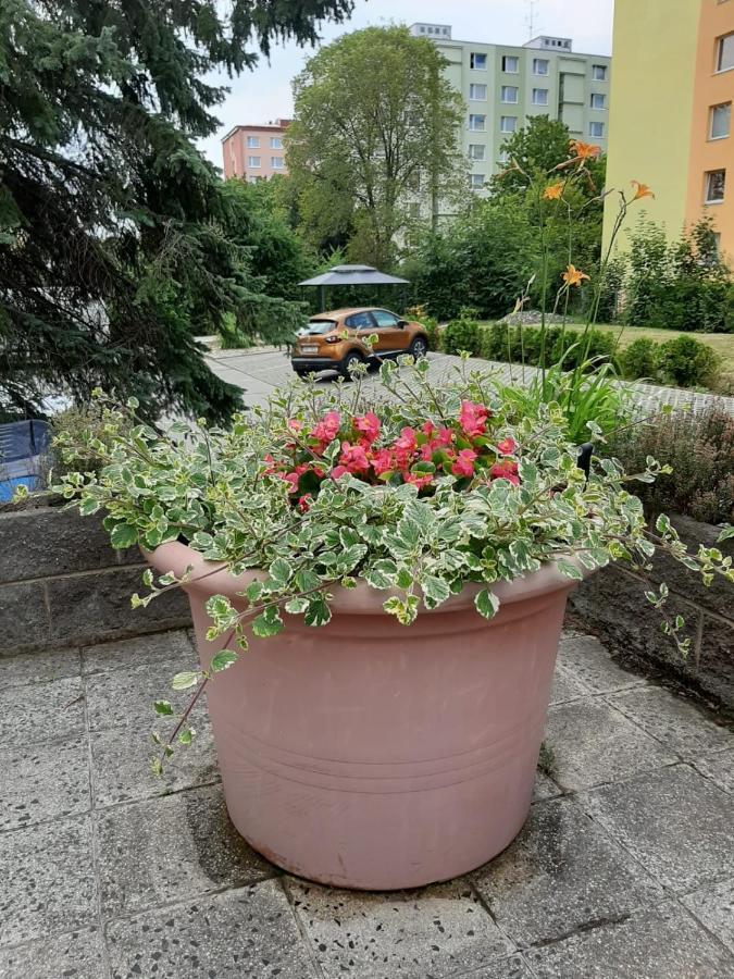 Kvetinovy Apartman A3B V Chomutove エクステリア 写真